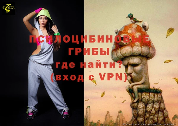 амфетамин Елизово