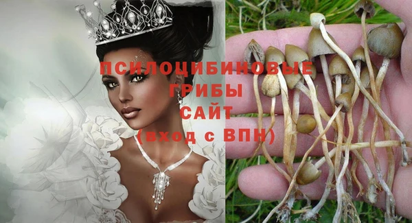 соль курить ск Елабуга