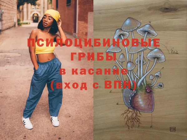 амфетамин Елизово